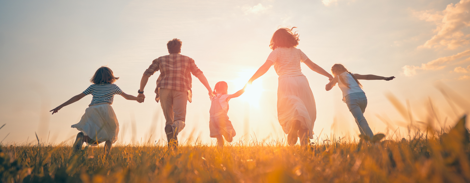 initative lander images (5)